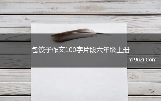 包饺子感悟100字