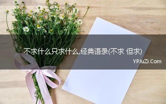 不求什么只求什么,经典语录(不求 但求)