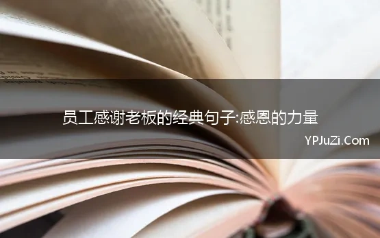 员工感谢老板的经典句子:感恩的力量