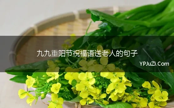 九九重阳节祝福语送老人的句子