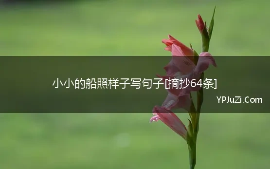 小小的船照样子写句子