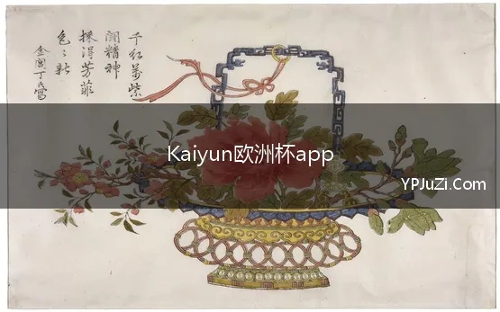 Kaiyun欧洲杯app