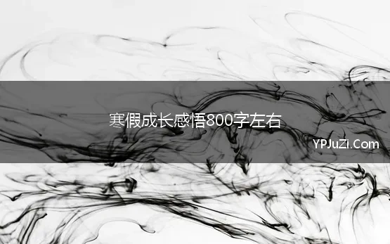 寒假成长感悟800字左右