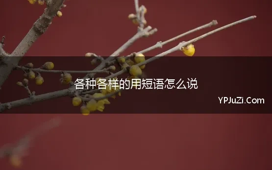 各种各样的用短语怎么说 各种各样的英语短语