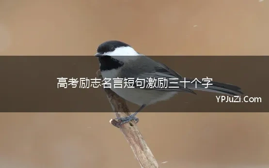 高考励志名言短句激励三十个字