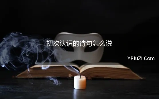 初次认识的诗句怎么说(初次见面的美好的诗句)