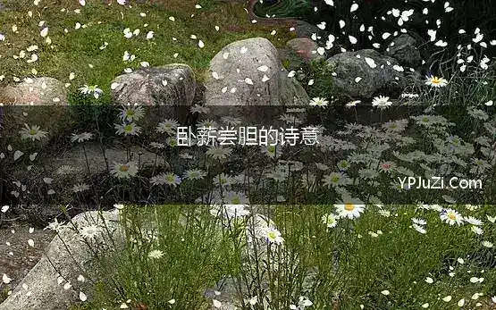 卧薪尝胆的诗意