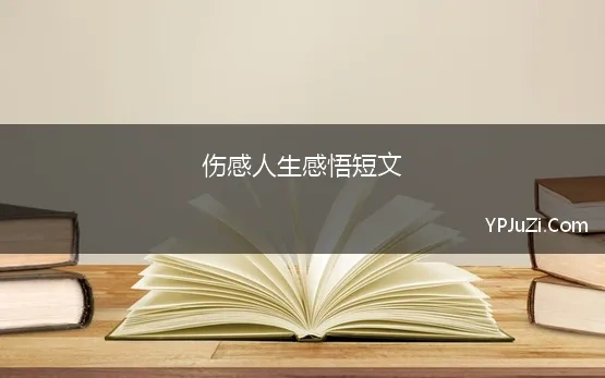 伤感人生感悟短文 经典透彻伤感人生感悟语录(64句)