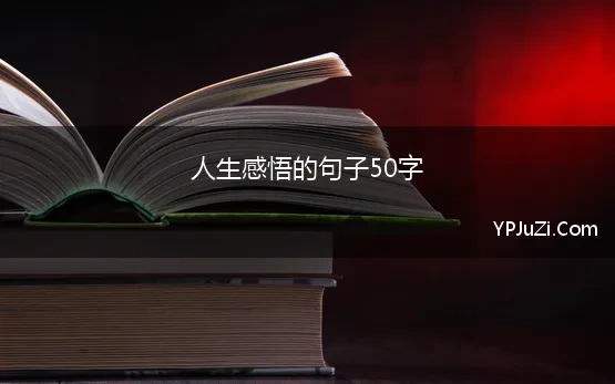 人生感悟的句子50字