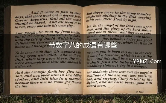 带数字八的成语有哪些