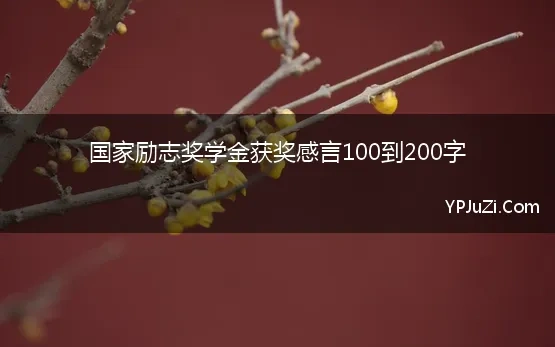 国家励志奖学金获奖感言100到200字