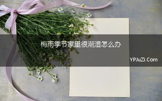 梅雨季节家里很潮湿怎么办