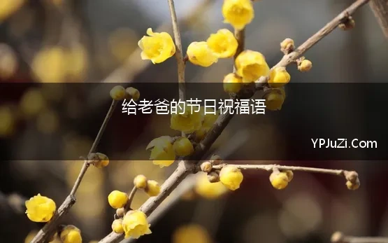 给老爸的节日祝福语