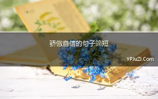 骄傲自信的句子简短