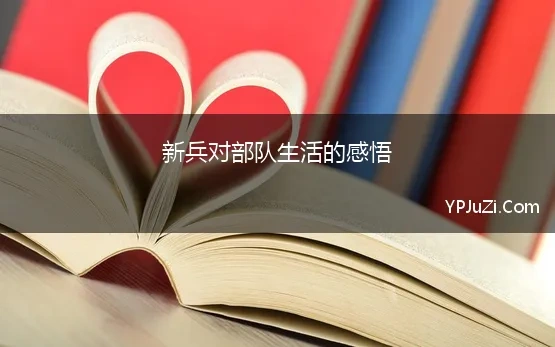 新兵对部队生活的感悟(当兵的感受以及武装部的感受3000字)