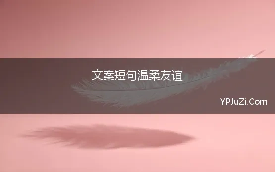 文案短句温柔友谊