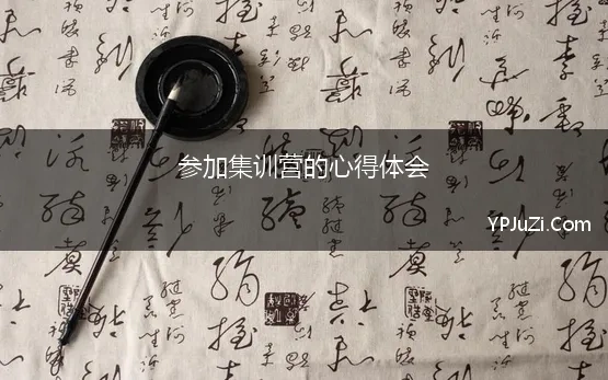 参加集训营的心得体会