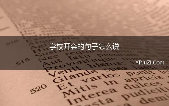 学校开会的句子怎么说