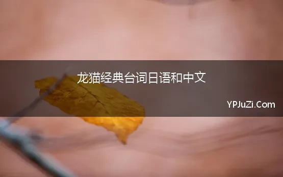 龙猫经典台词日语和中文