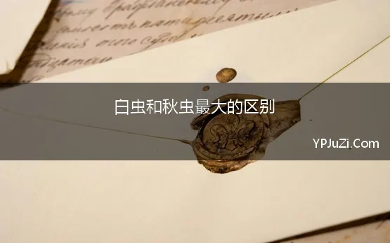 秋虫什么什么