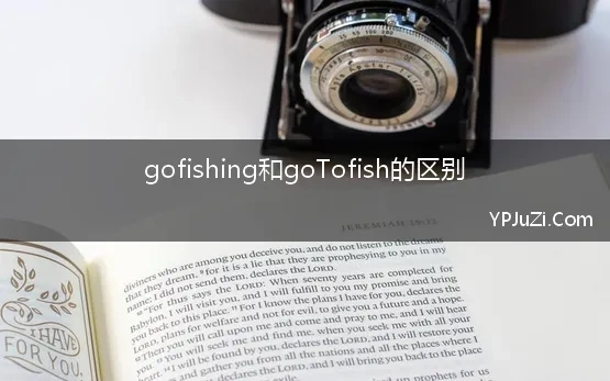 gofishing和goTofish的区别