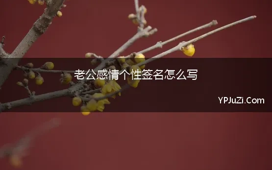 老公感情个性签名怎么写 给老公幸福的个性签名