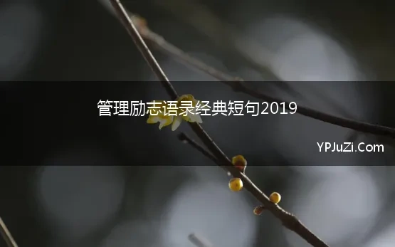 管理励志语录经典短句2019