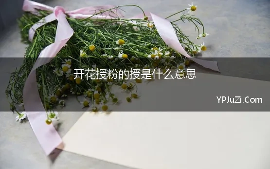 开花授粉的授是什么意思