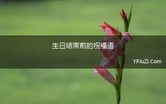 生日结束前的祝福语