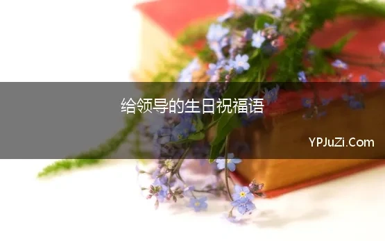 给领导的生日祝福语(适合给公司领导的生日祝福文案)