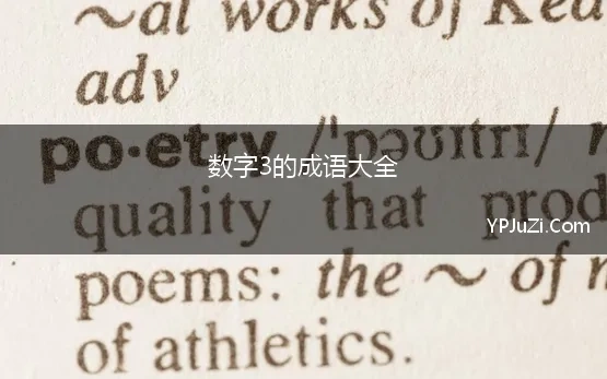 数字3的成语大全