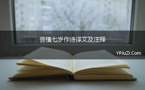 曹植七岁作诗译文及注释(曹植《七步诗》原文、注释、