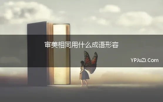 审美相同用什么成语形容