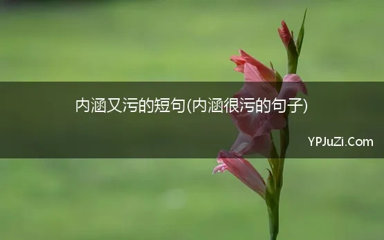 内涵很污的句子