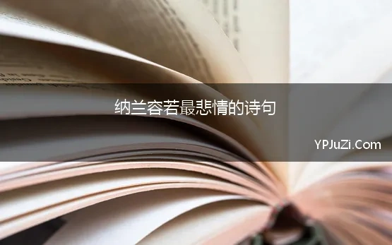 纳兰性德描写秋的诗句是哪一句