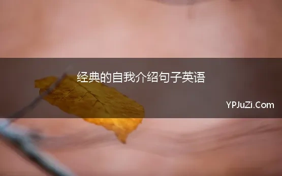 经典的自我介绍句子英语