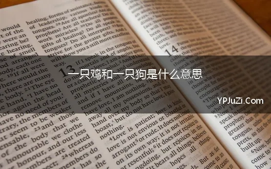 一只鸡一只狗是什么成语