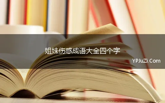 姐妹伤感成语大全四个字