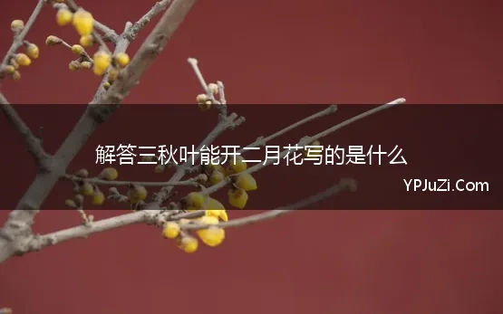 解答三秋叶能开二月花写的是什么