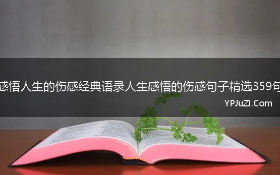 感悟人生的伤感经典语录人生感悟的伤感句子精选359句