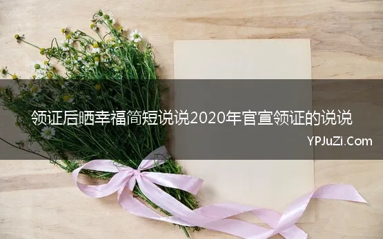 领证后晒幸福简短说说2020年官宣领证的说说