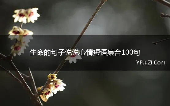 生命的句子说说心情短语集合100句