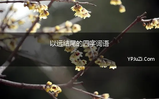 远字结尾的四字成语