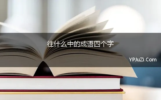 往什么中的成语四个字