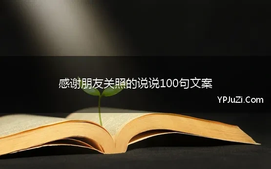 感谢朋友关照的说说100句文案