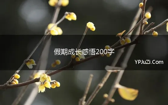 假期成长感悟200字