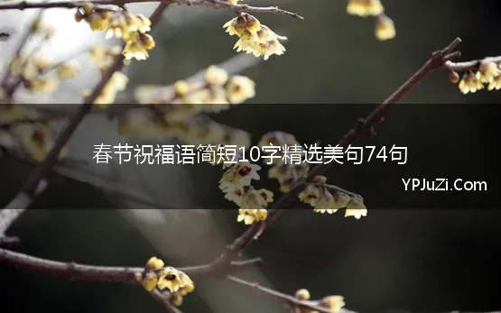 春节祝福语简短10字精选美句74句