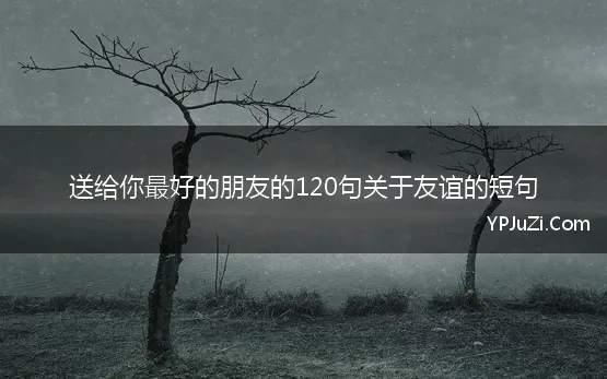 送给你最好的朋友的120句关于友谊的短句