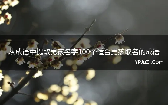 从成语中提取男孩名字100个适合男孩取名的成语