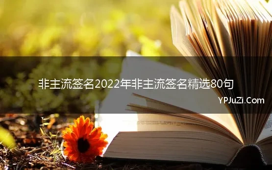 非主流签名2022年非主流签名精选80句